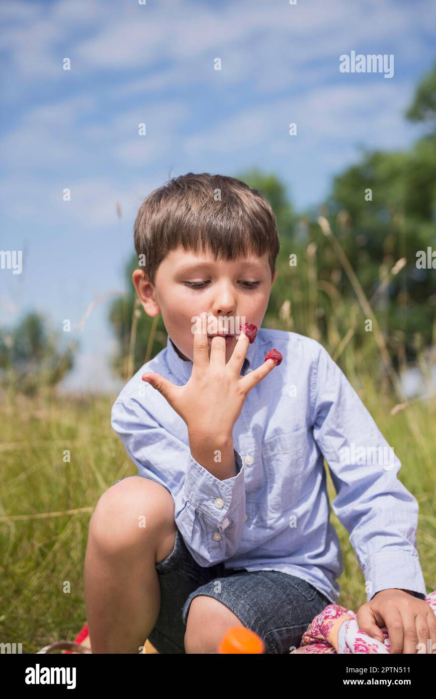 Piccolo ragazzo che mangia lamponi dalle dita sul prato in campagna, Baviera, Germania Foto Stock