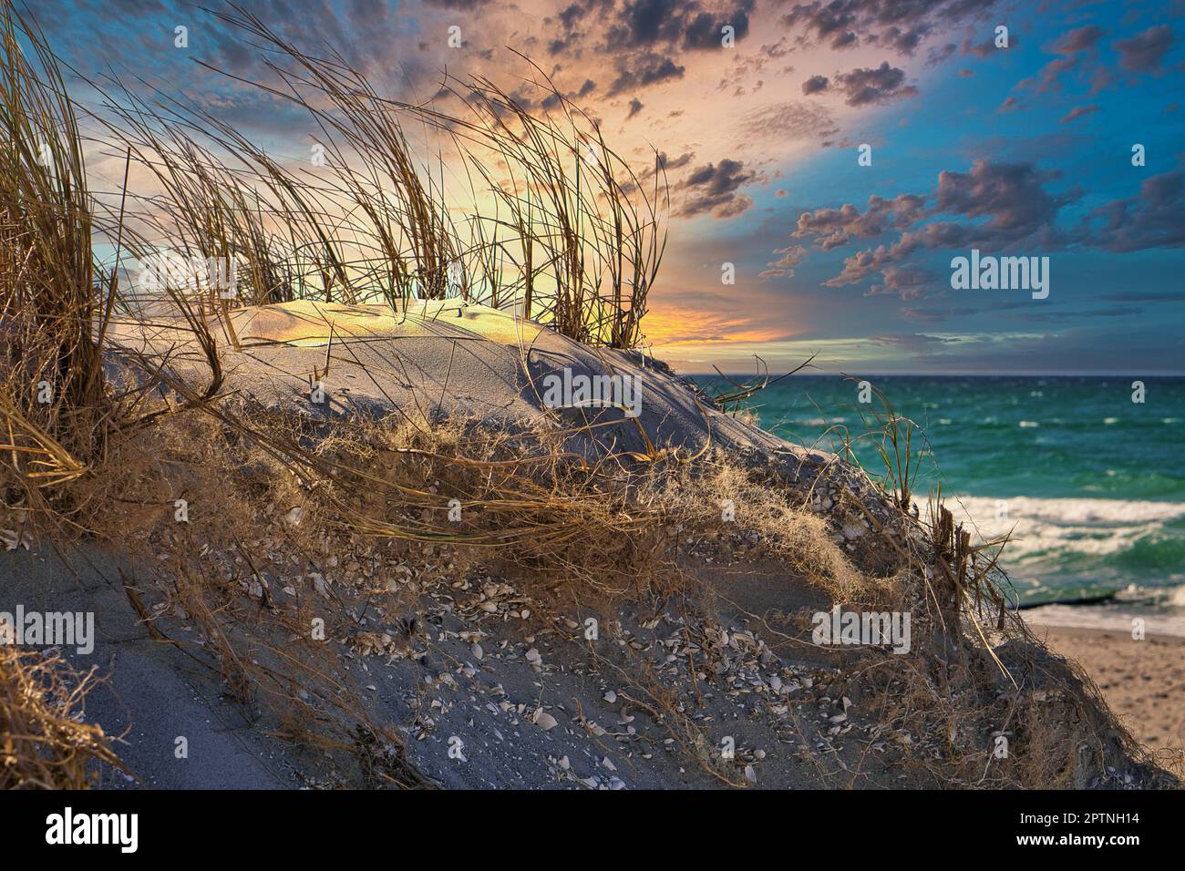 Dune paesaggio Mar Baltico Zingst in HDR look. Mare e spiaggia sullo sfondo. Foto orizzontale Foto Stock