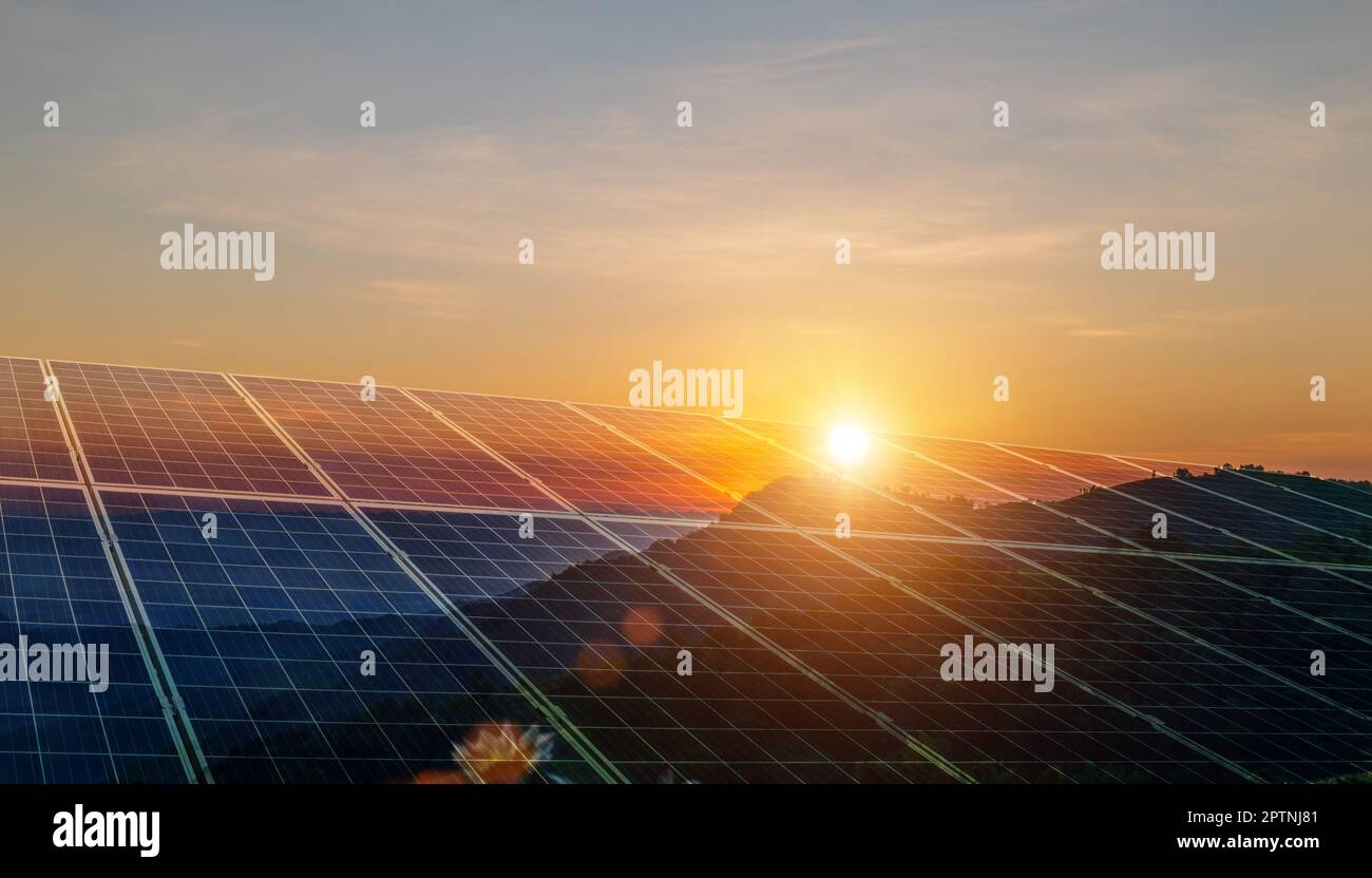 Concetto di energia sostenibile per l'ambiente. Pannelli solari energia pulita che genera elettricità. Celle fotovoltaiche al tramonto. Foto Stock