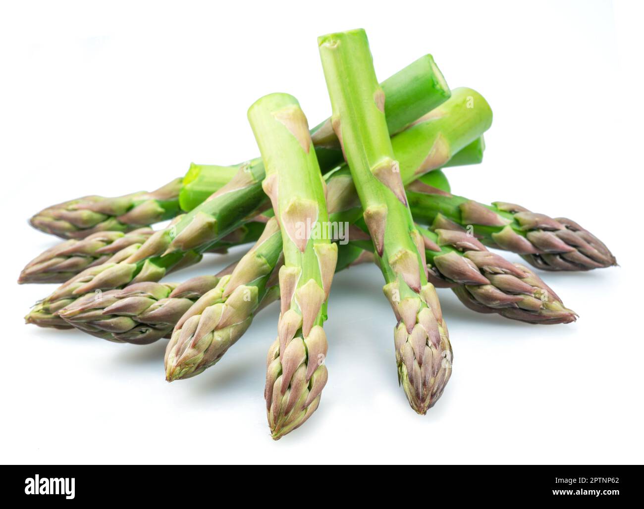 Lance verdi di asparagi isolate su fondo bianco. Foto Stock