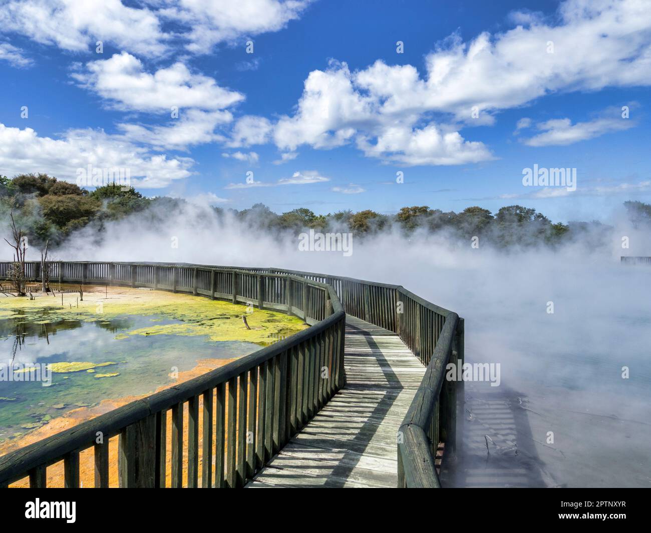 Passerella nel Parco Kuirau, un parco pubblico e area termale a Rotorua, Baia di Plenty, Nuova Zelanda. Foto Stock