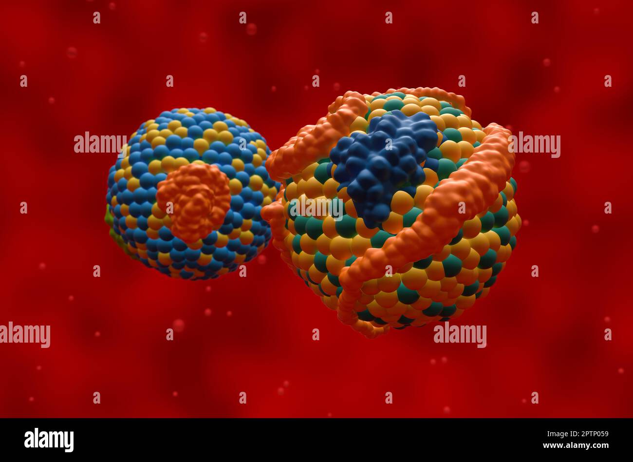 HDL (buona, anteriore) e LDL (cattiva, posteriore) lipoproteina (colesterolo) - Vista closeup 3D illustrazione Foto Stock