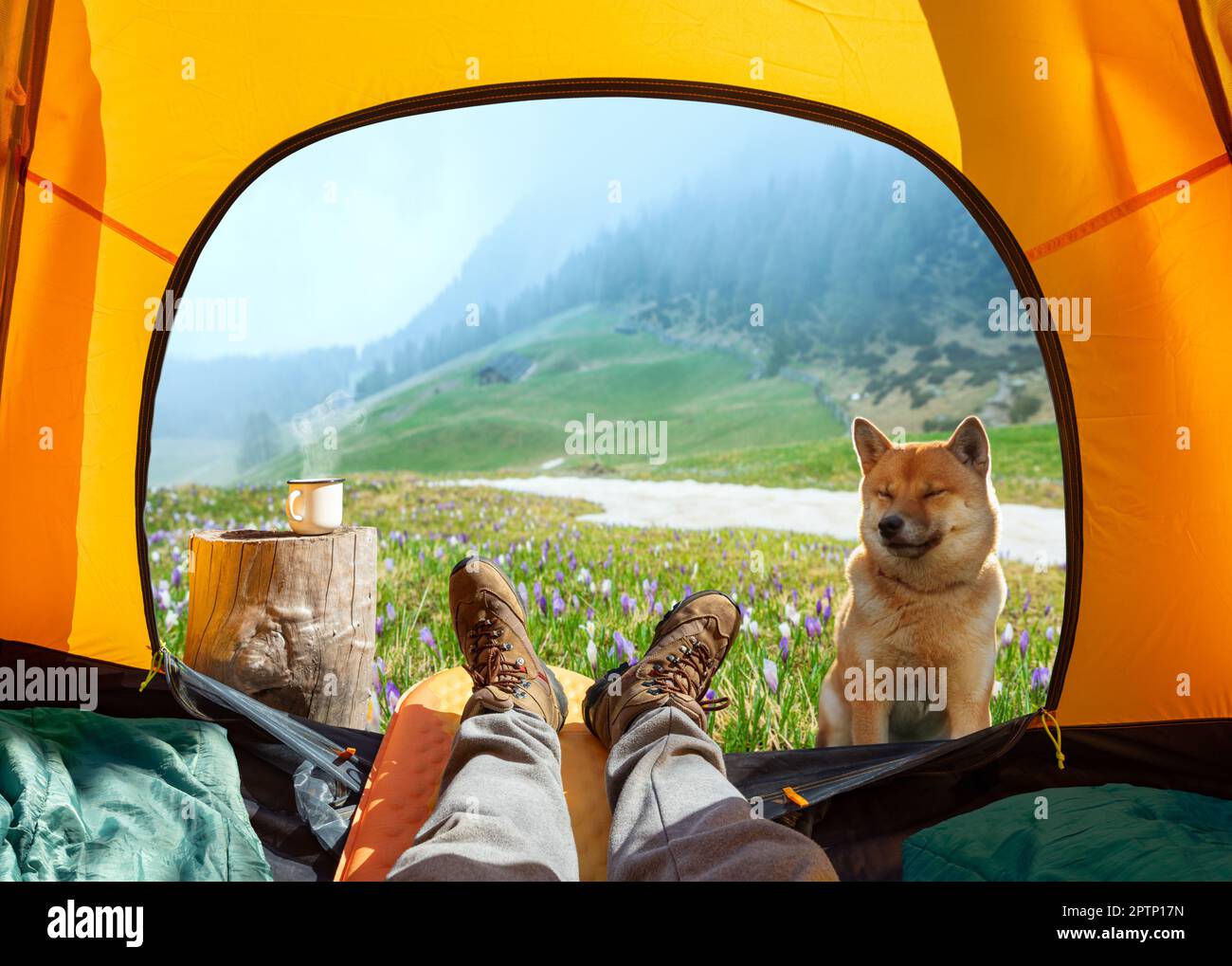 Splendida vista sulla natura attraverso l'ingresso aperto della tenda. La bellezza di una romantica escursione e campeggio accompagnati da un cane. Foto Stock