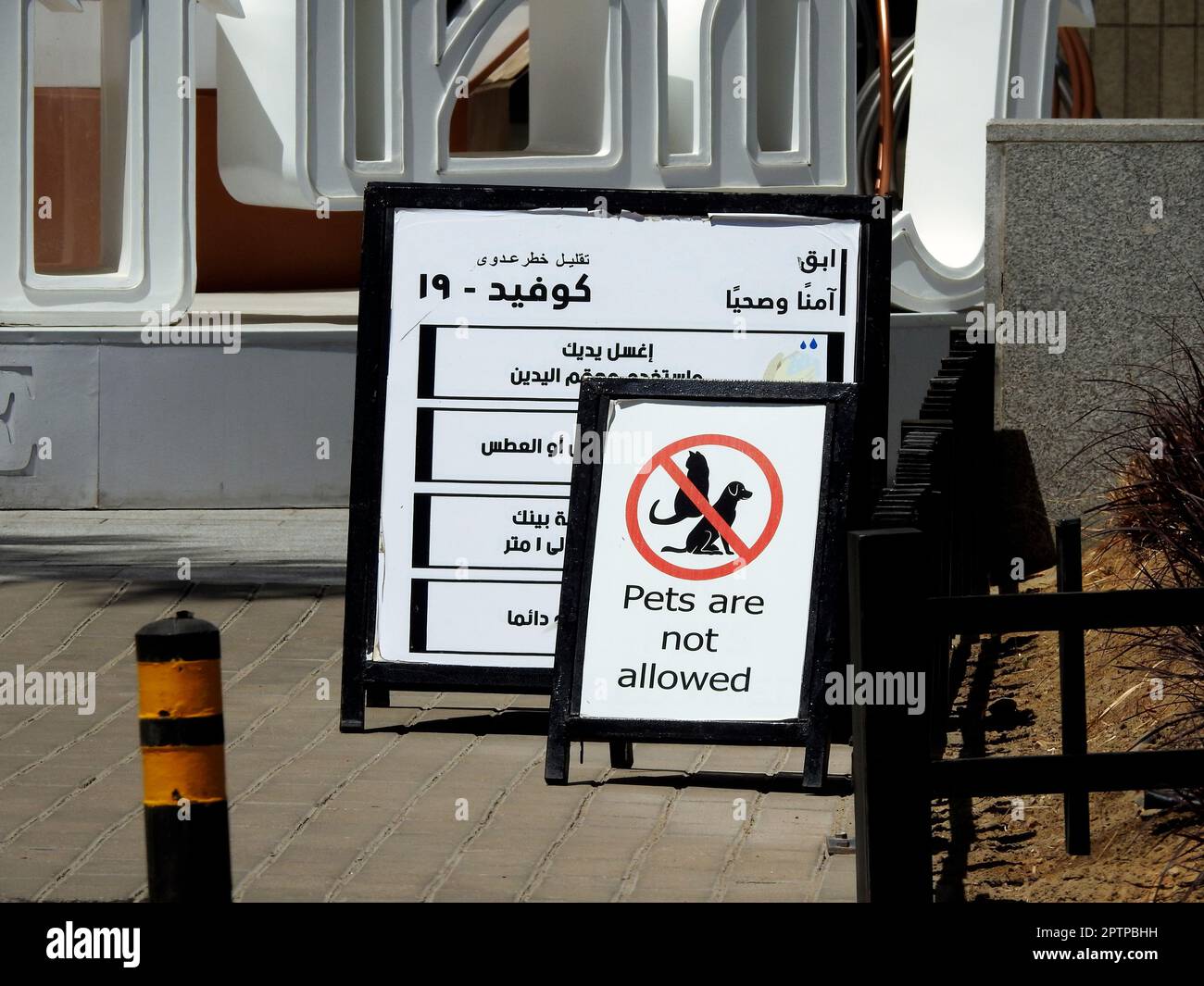 Cairo, Egitto, aprile 24 2023: Un cartello NO PET allowed per affrontare la politica di proprietà e le preoccupazioni di sicurezza con anche un testo arabo di protezione Covid-19 Foto Stock