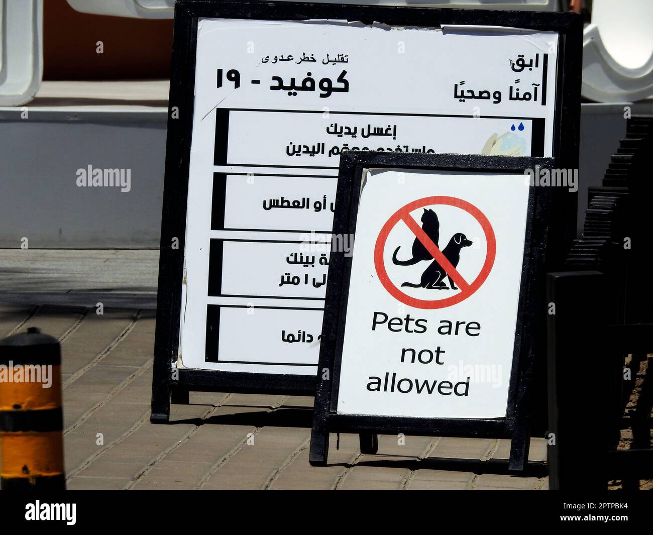 Cairo, Egitto, aprile 24 2023: Un cartello NO PET allowed per affrontare la politica di proprietà e le preoccupazioni di sicurezza con anche un testo arabo di protezione Covid-19 Foto Stock
