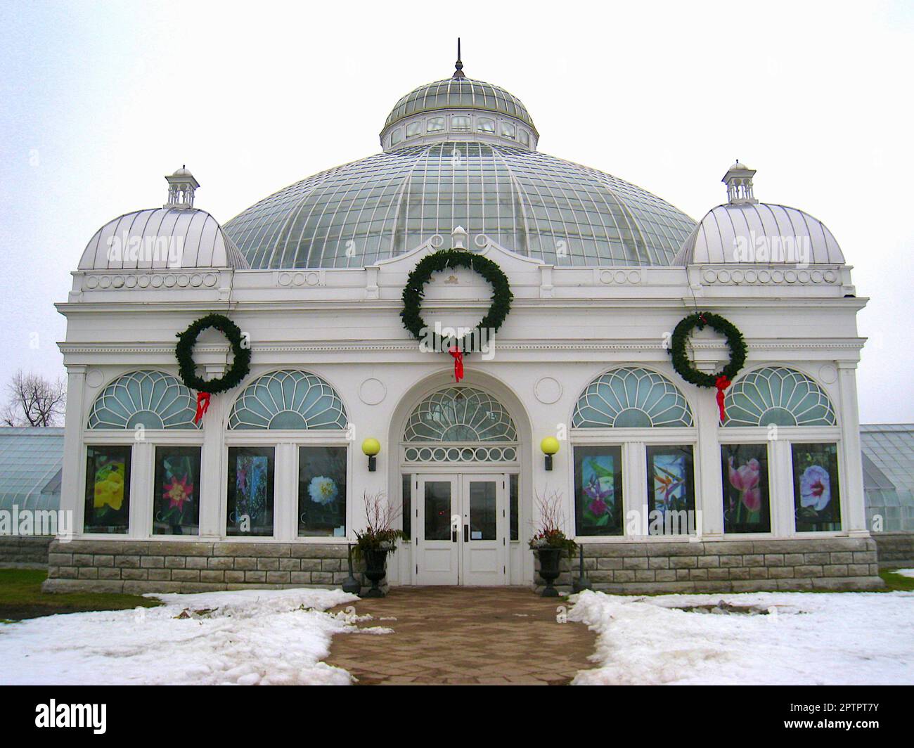Buffalo and Erie County Botanical Gardens, Buffalo, New York, USA. Foto Stock