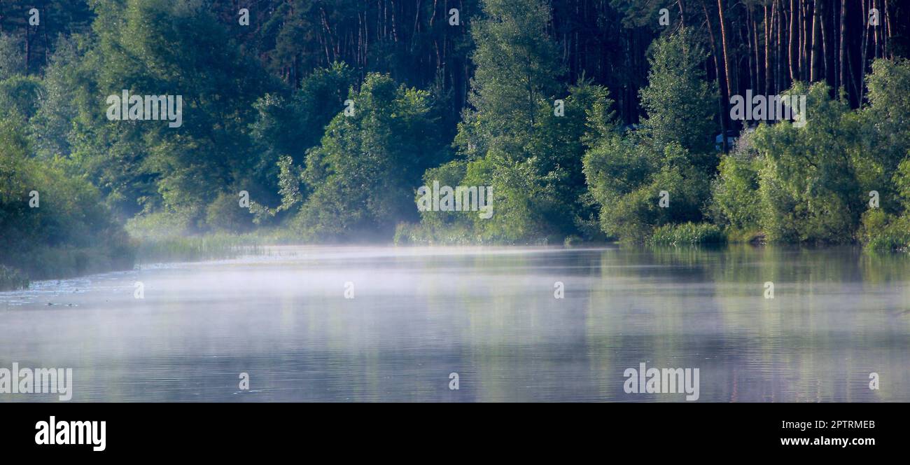 Alba spettacolare. ora di nascita della nebbia. La nebbia si insinua sul fiume vicino alla foresta. Nebbia congenerosa. Nebbia sul fiume all'alba. Alba sul fiume. Foto Stock