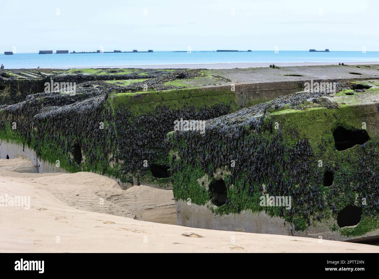 Operazione Mulberry,Mulberry,artificiale,portabile,porto,porto,resti,da,WW II,seconda Guerra Mondiale,spiaggia,AT,Gold Beach,Arromanches,Arromanches-les-Bains,Normandia,Normandie,Francia,francese,Europa,europea,Calvados,dipartimento,Normandia,Francia,francese,Europa,europea, Foto Stock