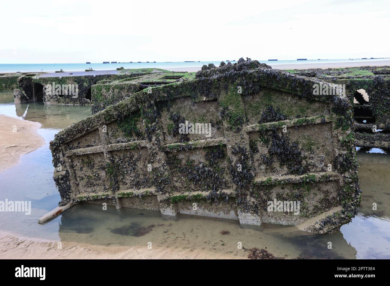 Operazione Mulberry,Mulberry,artificiale,portabile,porto,porto,resti,da,WW II,seconda Guerra Mondiale,spiaggia,AT,Gold Beach,Arromanches,Arromanches-les-Bains,Normandia,Normandie,Francia,francese,Europa,europea,Calvados,dipartimento,Normandia,Francia,francese,Europa,europea, Foto Stock