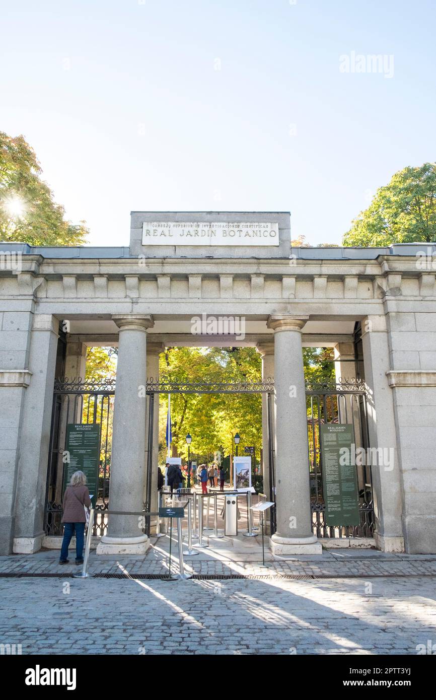 Spagna, Madrid, Real Jardín Botánico, Giardino Botanico Foto Stock