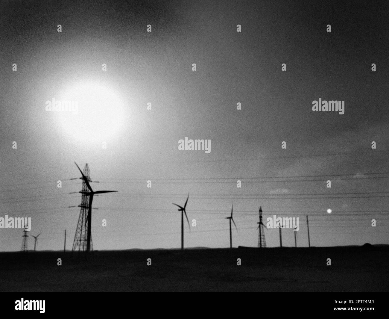 Marocco, dintorni di Laayoune, turbine eoliche Foto Stock