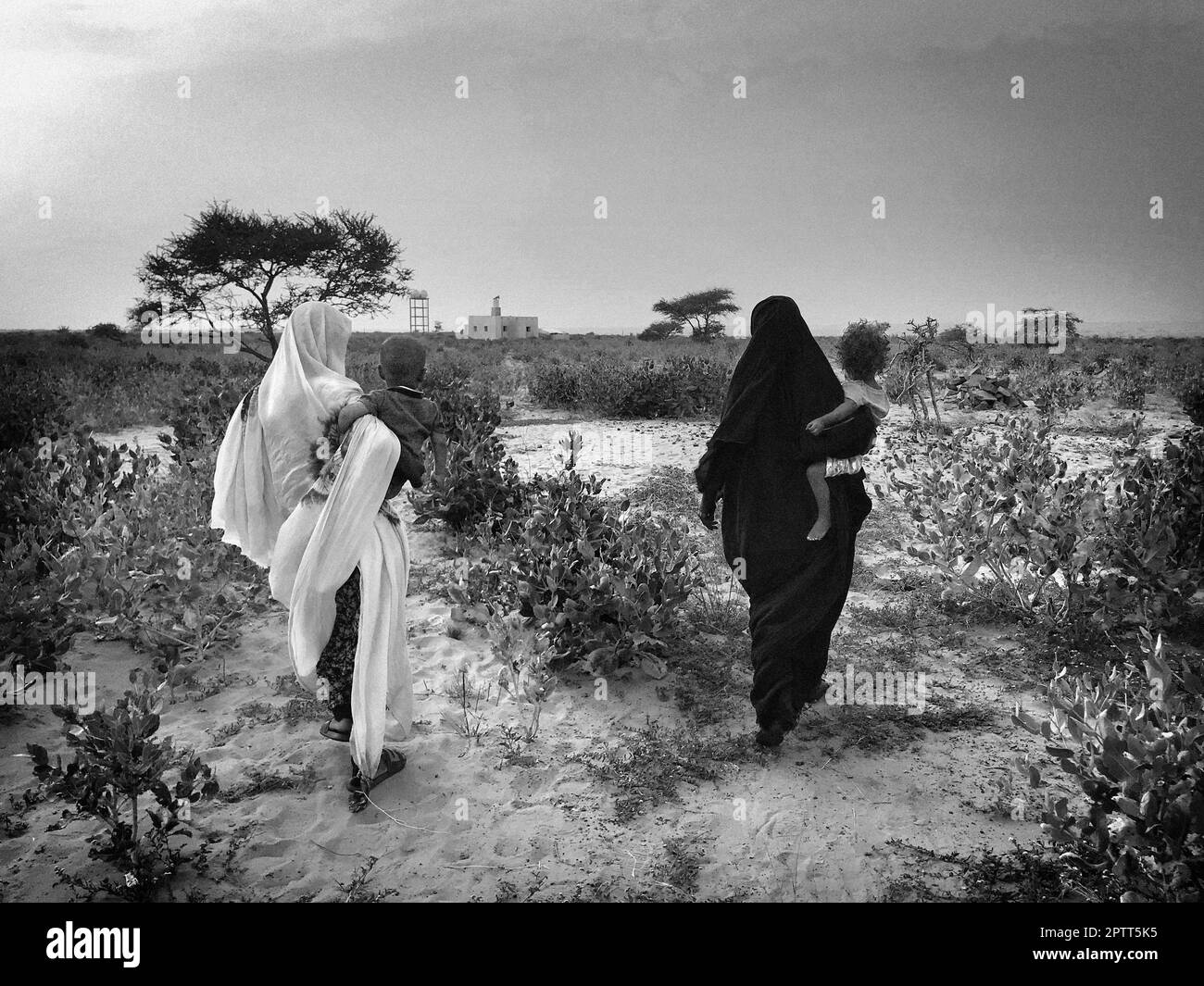 Mauritania, che circonda Chinguetti, villaggio nomade Foto Stock