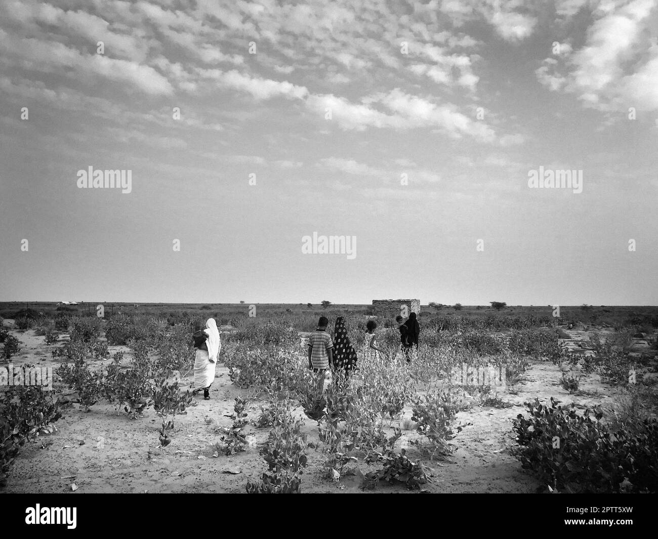 Mauritania, che circonda Chinguetti, villaggio nomade Foto Stock