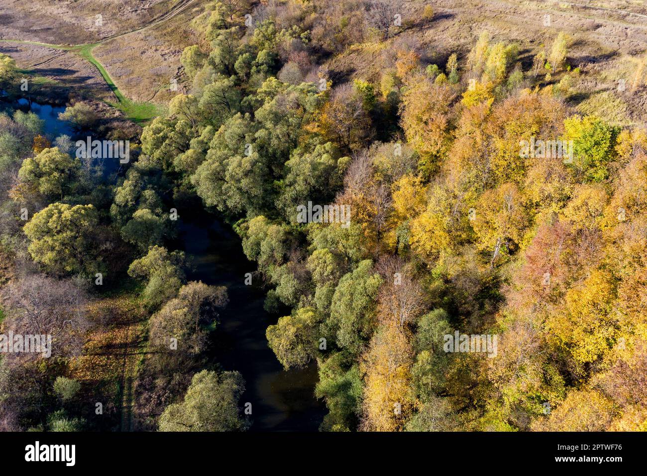 Vista da un quadricottero sulla natura autunnale con fogliame giallo e un piccolo fiume Foto Stock