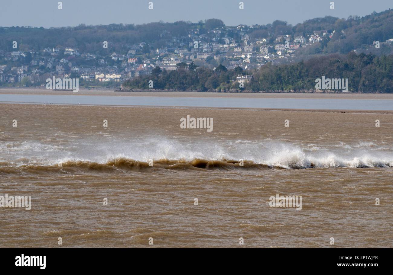 La marea di Arnside ha viaggiato fino all'estuario del Kent ad Arnside, Milnthorpe, Cumbria, Regno Unito. Foto Stock