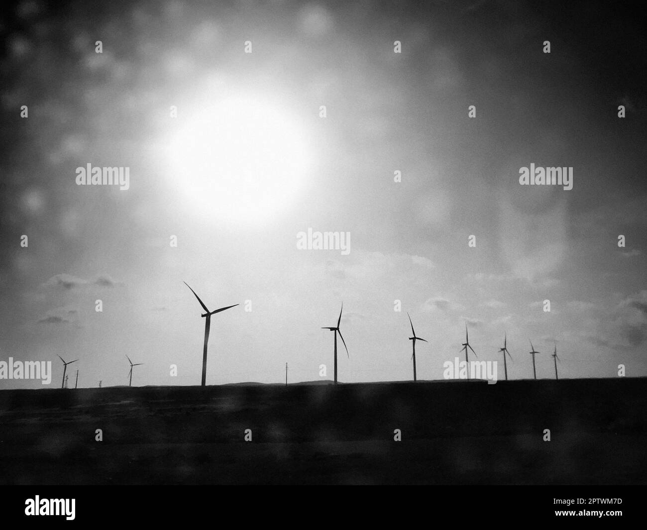 Marocco, dintorni di Laayoune, turbine eoliche Foto Stock