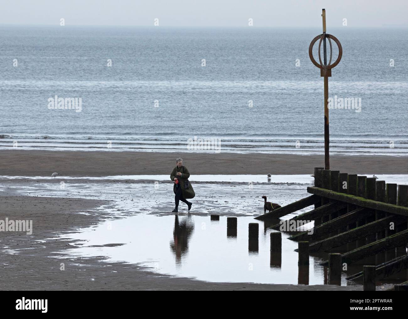 Portobello, Edimburgo, Scozia, Regno Unito. 28 aprile 2023. Nuvoloso e noioso con temperatura di 13 gradi centigradi al mare presso il Firth of Forth. Nella foto: Questo camminatore del cane riflesso nell'acqua che rimane sulla spiaggia dopo che la marea è uscita con la costa di Fife nascosta sullo sfondo dalla nebbia, possibilmente riflettendo sui tempi più solari in spiaggia. Credit: Arch White/alamy live news. Foto Stock