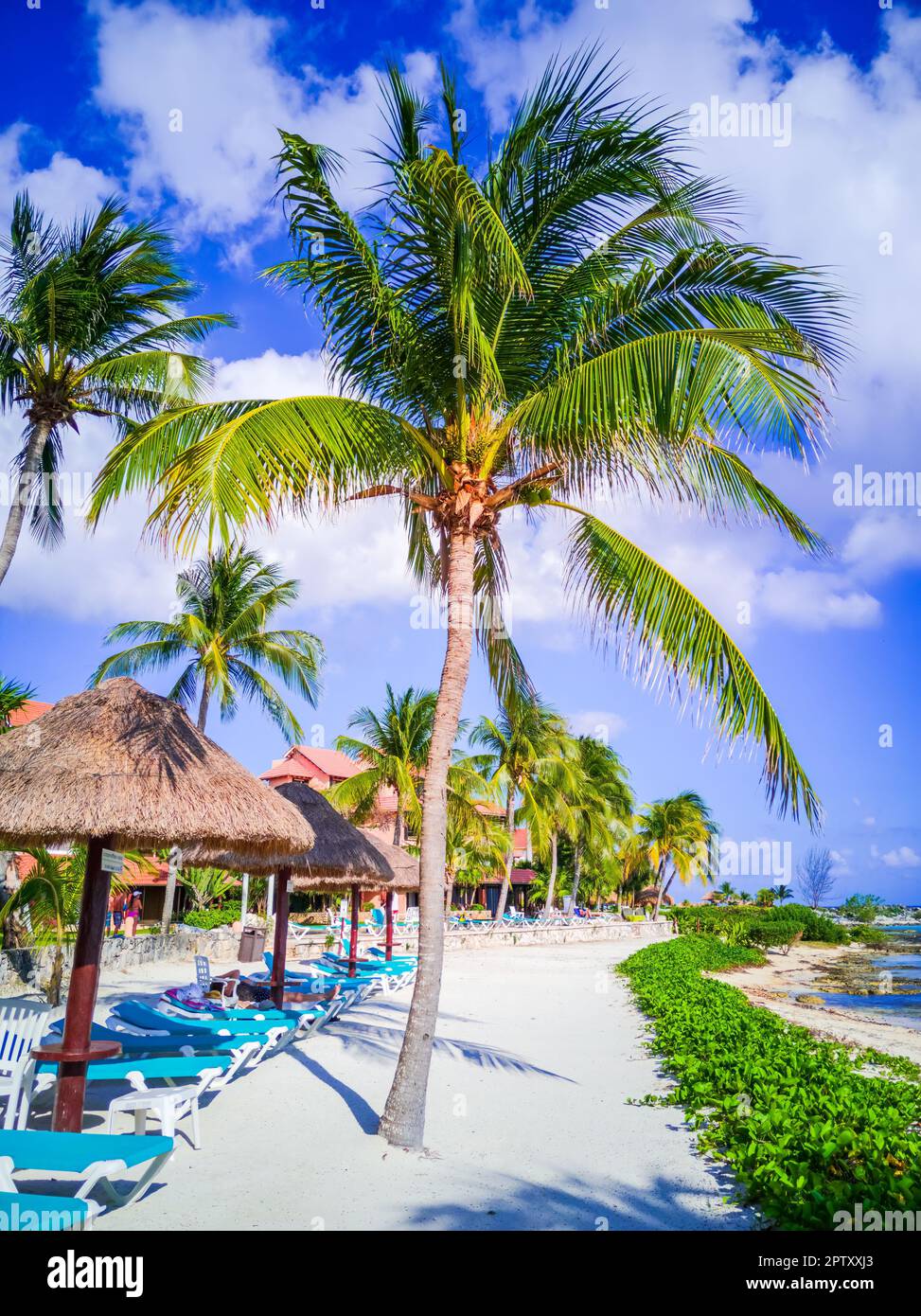 Puerto Aventuras, Messico. Piccola cittadina di villeggiatura situata nella Riviera Maya, conosciuta per le sue splendide spiagge e il suo porticciolo, Cancun. Foto Stock