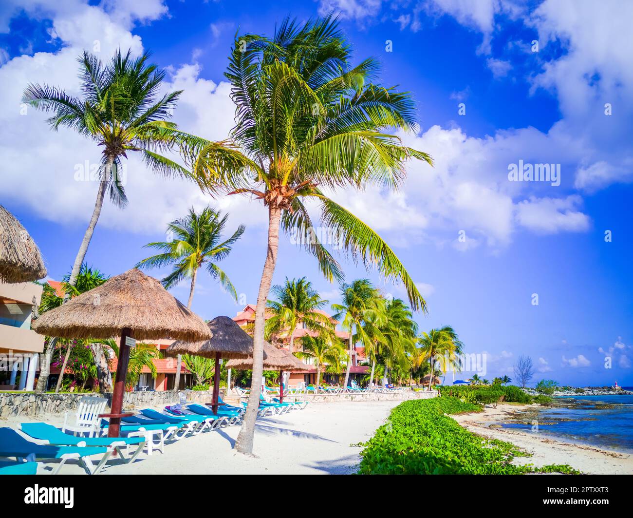 Puerto Aventuras, Messico. Piccola cittadina di villeggiatura situata nella Riviera Maya, conosciuta per le sue splendide spiagge e il suo porticciolo, Cancun. Foto Stock
