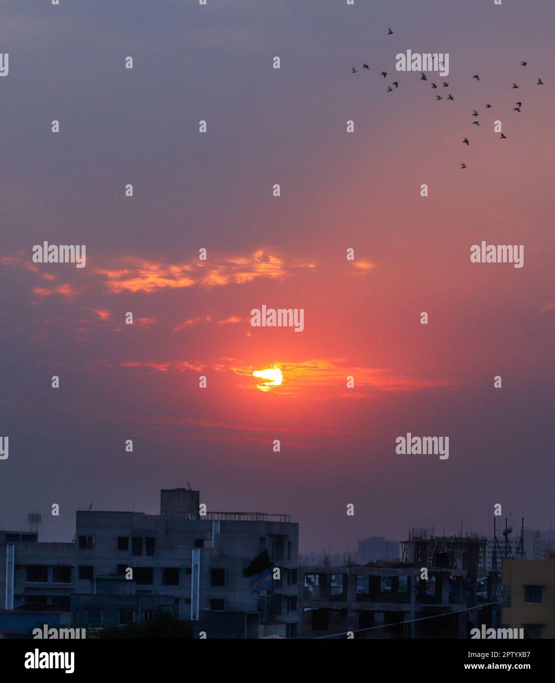Un gruppo di uccelli vola nel cielo durante il tramonto in città Foto Stock