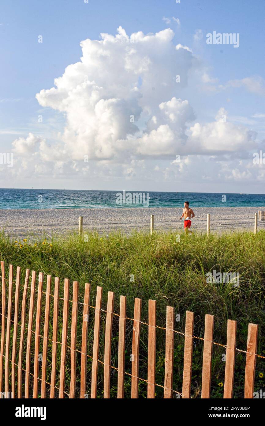 Miami Beach Florida, costa dell'Oceano Atlantico costa costa costa costa spiaggia, dune naturali recinzione pareggiatore jogging, corridori running runner runner, nuvole Foto Stock