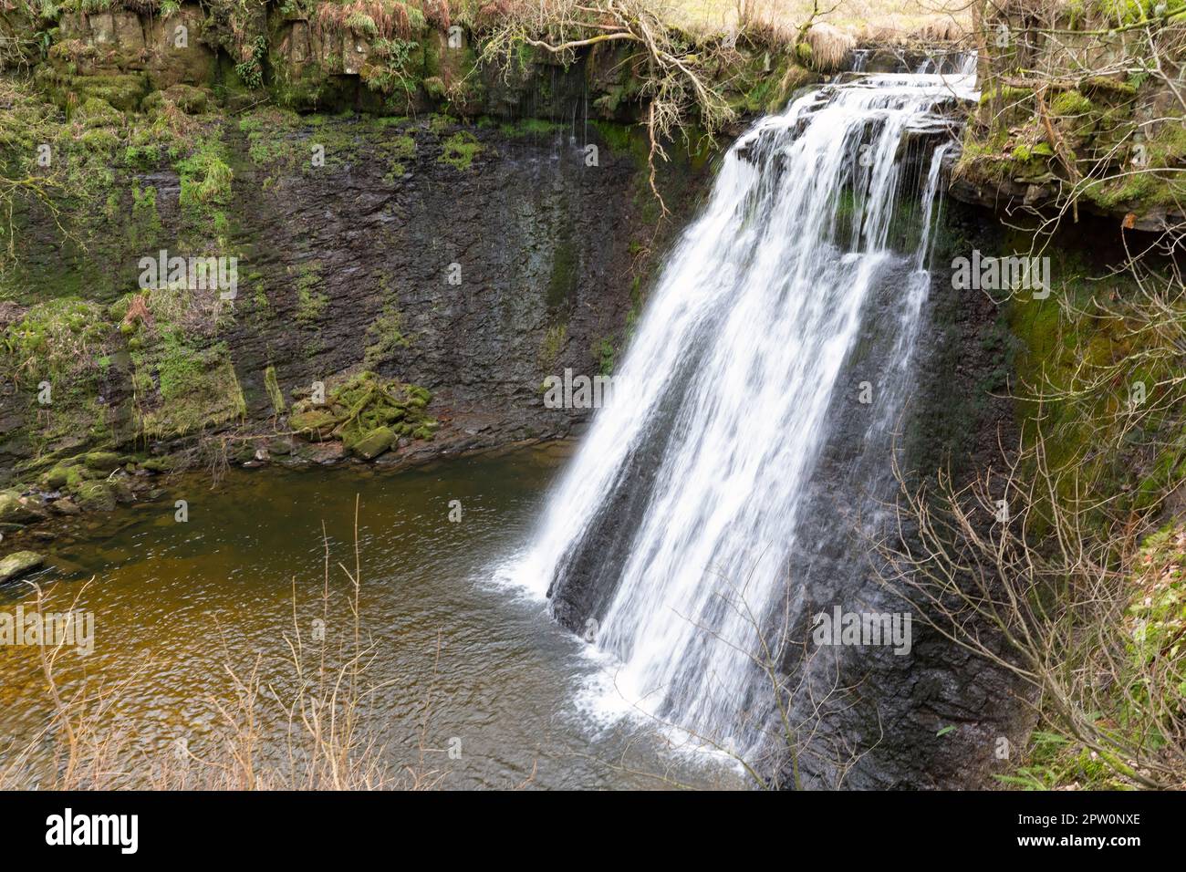 Aysgill Force, una cascata su Gayle Beck vicino a Beggarmans Road, Wensleydale, North Yorkshire. Questa cascata ha una caduta di 40 piedi. Foto Stock