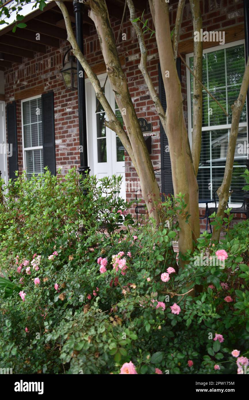 Casa fronte strada in stile francese di New Orleans Foto Stock