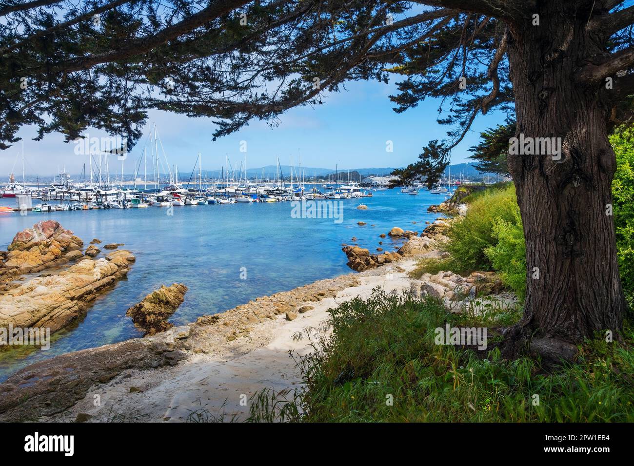 Lo storico porto e porticciolo di Monterey si trova nella baia di Monterey, California Foto Stock