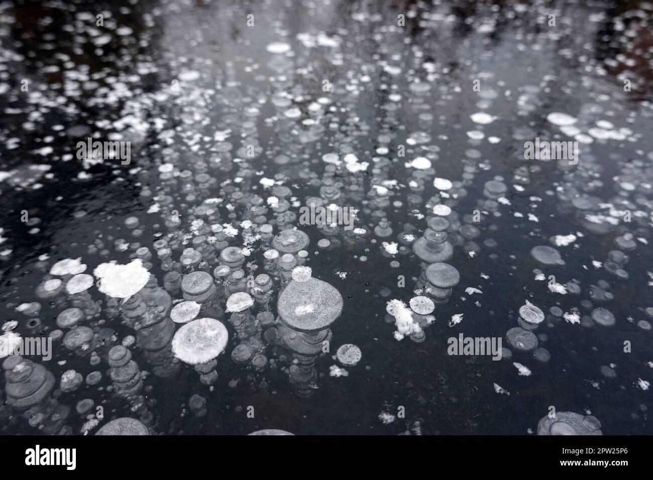 Im EIS eines Teichs eingefrorene Luftblasen bilden ein abraktes Muster Foto Stock