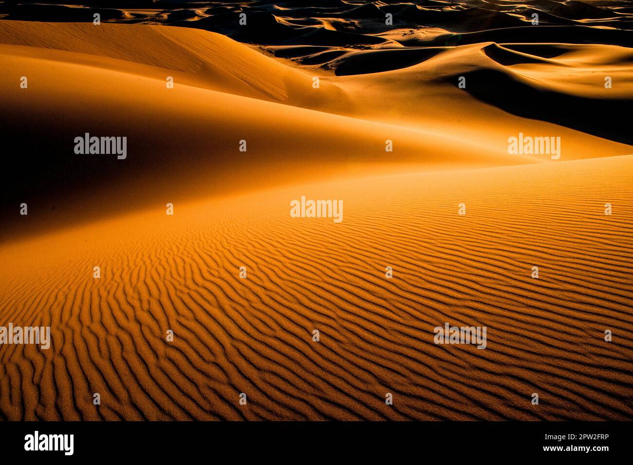Alla luce del sole, le dune di sabbia ricurve e luminose arancioni con colline ondulate e valli Foto Stock