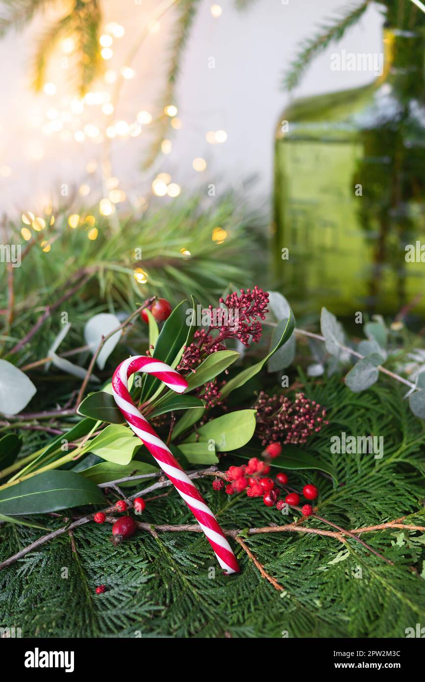 Sfondo verde di foglie viventi e rami, rosso caramella di Natale. La composizione di Capodanno, un'apertura pronta all'uso. Capodanno e festa di Natale Foto Stock
