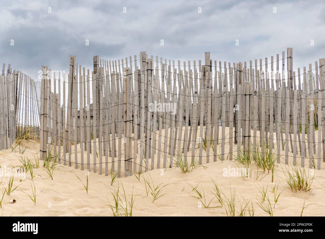 immagine dettagliata di strati di recinzione in spiaggia su una duna amagansett Foto Stock