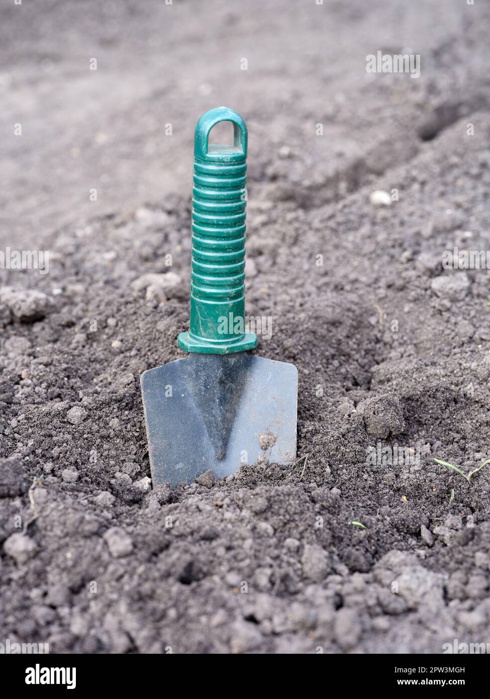 Una cazzuola da giardino che sporge da un mucchio di terreno. Primo piano. Foto Stock