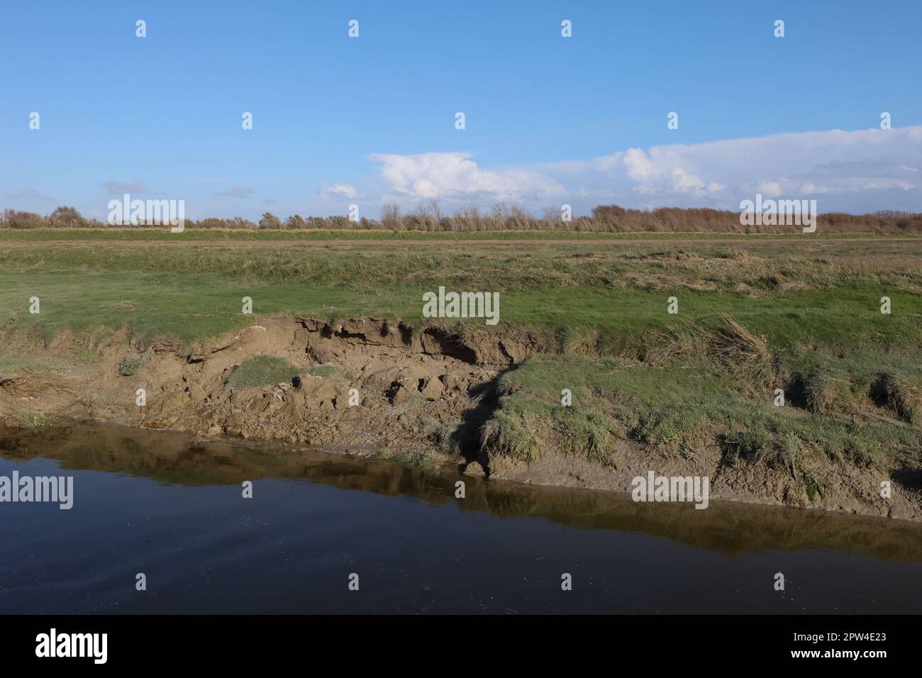 Parc du Marquenterre,Baia di Somme,Francia,Francese,Europa,europea, Foto Stock