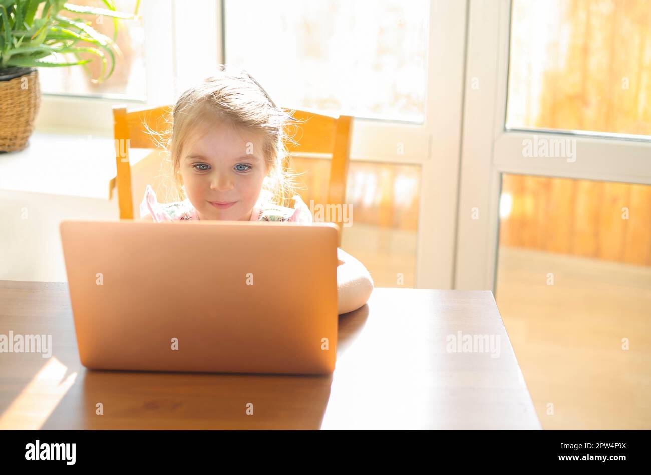Ragazza piccola adorabile carina seduta al tavolo con il laptop moderno, guardando lo schermo del computer mentre studia in linea, bambino durante l'apprendimento a distanza a. Foto Stock