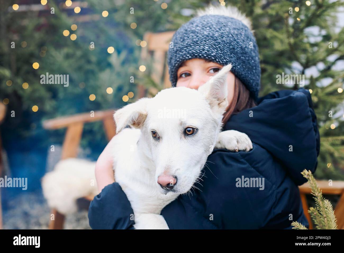 Sorridente ragazza adolescente in abiti caldi tenendo carino cucciolo bianco in braccia, mentre seduto in cortile surrauded con alberi di conifere, il cane abbracciante e. Foto Stock