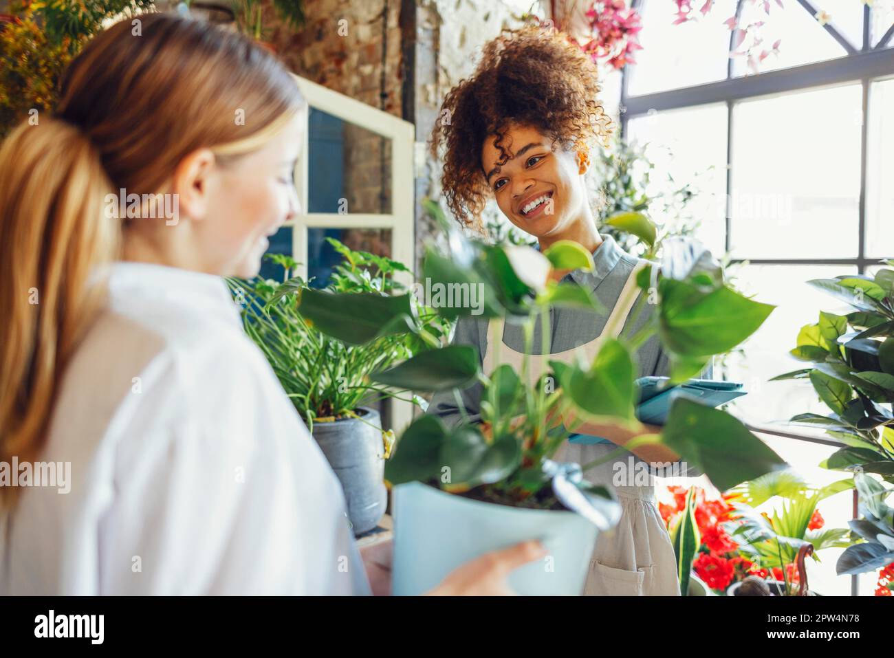 Felice imprenditore nero donna in piedi in negozio di piante che vende fiori freschi al cliente. Giovane ragazza bionda comprare un bouquet fresco da fiorista. Sorridente Foto Stock
