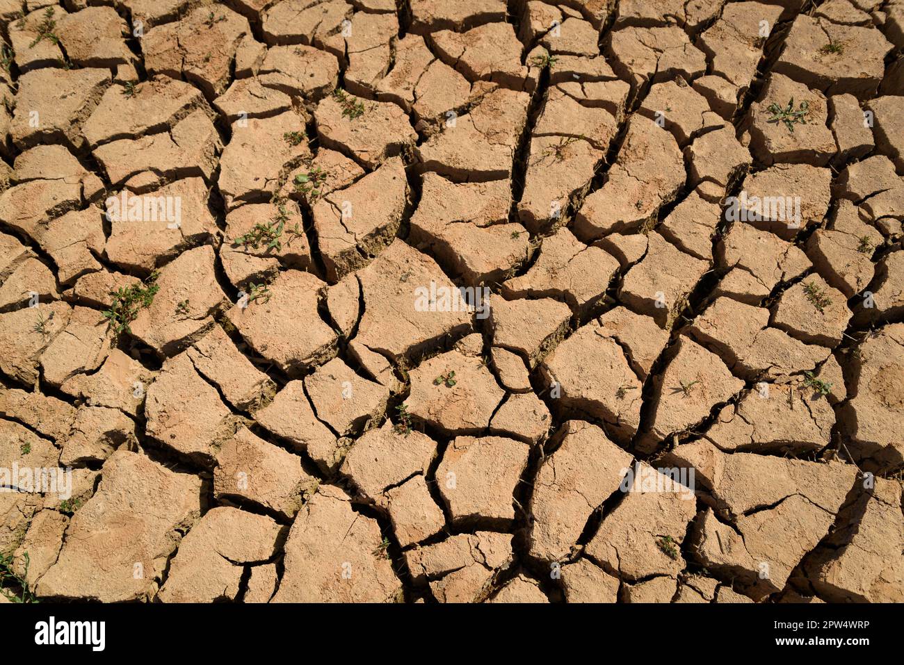 I coperchi solidi asciutti sono visti al serbatoio di acqua di Sau. Il bacino idrico, una delle principali fonti d'acqua della regione spagnola della Catalogna e in particolare per la città di Barcellona, è attualmente al 6% secondo i dati dell'Agenzia catalana per l'acqua, mentre i serbatoi d'acqua della regione sono al 27% della capacità; Che ha costretto il governo locale ad adottare misure contro la carenza idrica, poiché la Spagna è entrata in un periodo di siccità cronica. Il livello record basso ha fatto risorgere la città di Sant Romà con il suo iconico campanile, che è stato inondato nel 60s quando la diga è stata costruita. (Foto di Davide Foto Stock