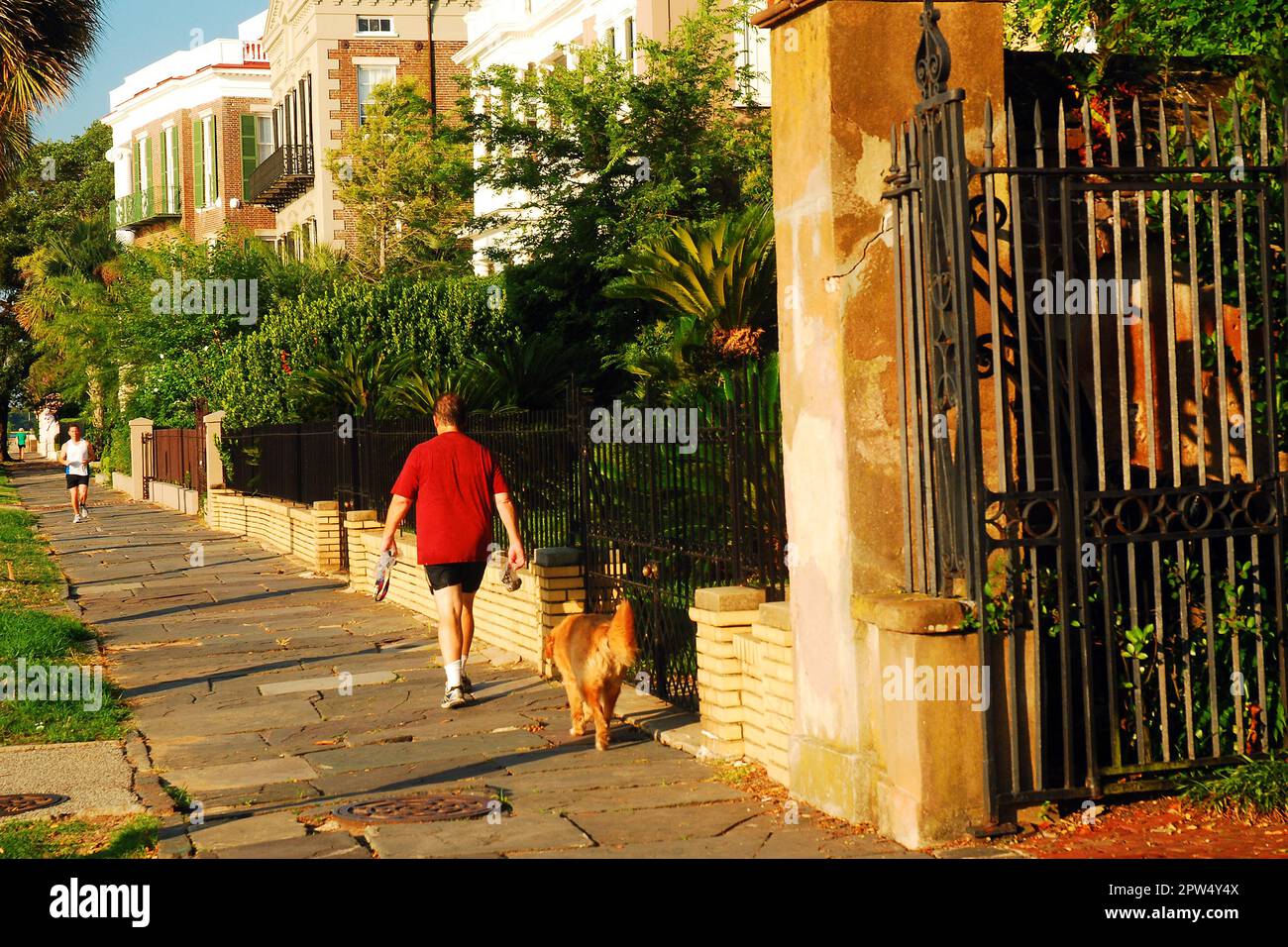 Un uomo adulto cammina il cane vicino alle residenze e alle tenute di East Battery Street, a Charleston, South Carolina Foto Stock