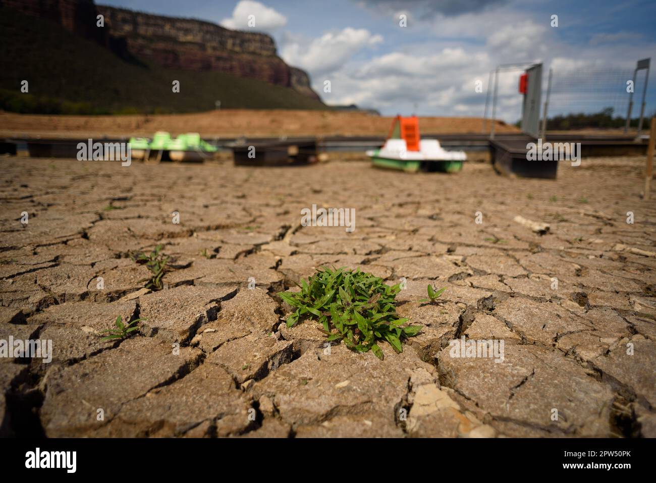 Vilanova de Sau, Spagna. 27th Apr, 2023. Una pianta sta crescendo tra grumi solidi secchi presso il serbatoio dell'acqua di Sau. Il bacino idrico, una delle principali fonti d'acqua della regione spagnola della Catalogna e in particolare per la città di Barcellona, è attualmente al 6% secondo i dati dell'Agenzia catalana per l'acqua, mentre i serbatoi d'acqua della regione sono al 27% della capacità; Che ha costretto il governo locale ad adottare misure contro la carenza idrica, poiché la Spagna è entrata in un periodo di siccità cronica. Il livello record basso ha fatto risorgere la città di Sant RomÃ con il suo iconico campanile, che era fl Foto Stock