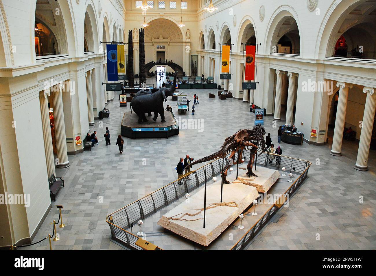 Panoramica della hall del Field Museum of Natural History, Chicago. Sue, il più completo T Rex mai trovato è in mostra Foto Stock