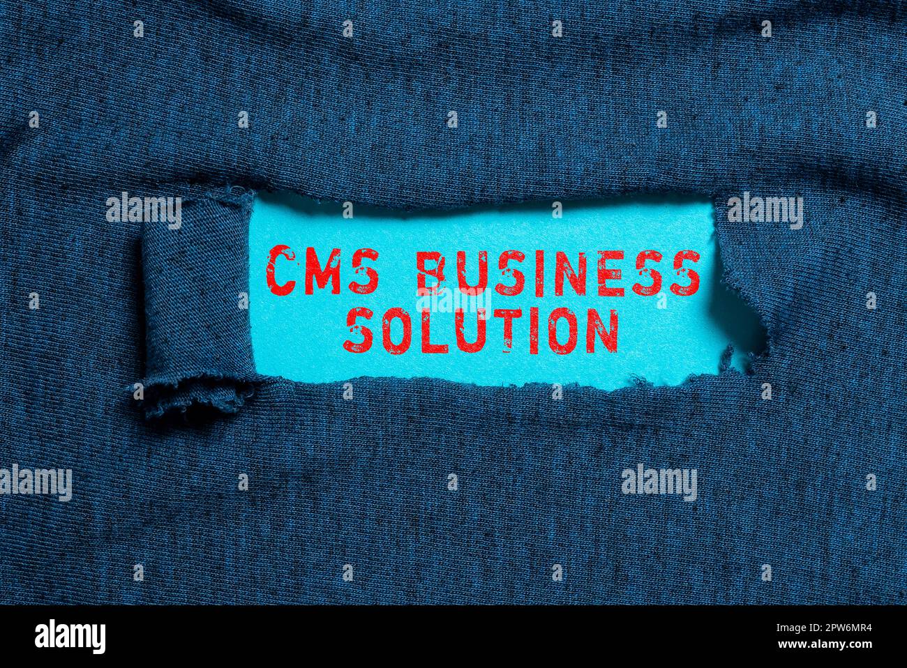 Ispirazione mostrando segno CMS Business Solution, Business Overview applicazione software per creare e gestire il sito web Foto Stock