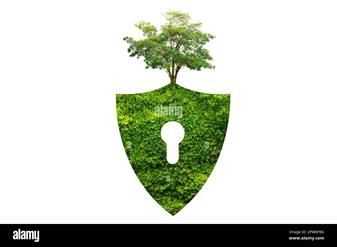 Lo scudo verde protegge la natura e l'ambiente su sfondo bianco. Foto Stock