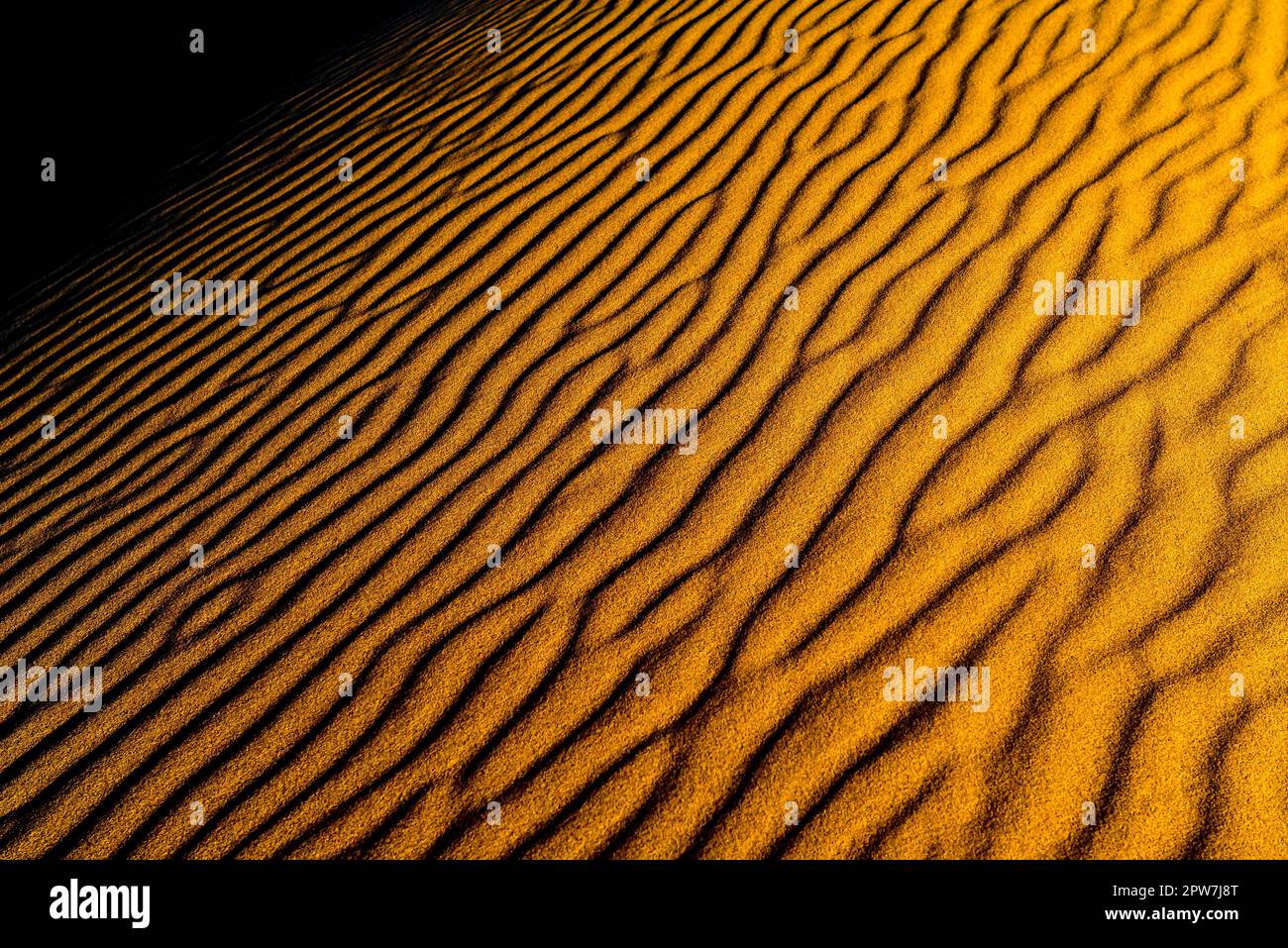 Alla luce del sole, le dune di sabbia ricurve e luminose arancioni con colline ondulate e valli Foto Stock