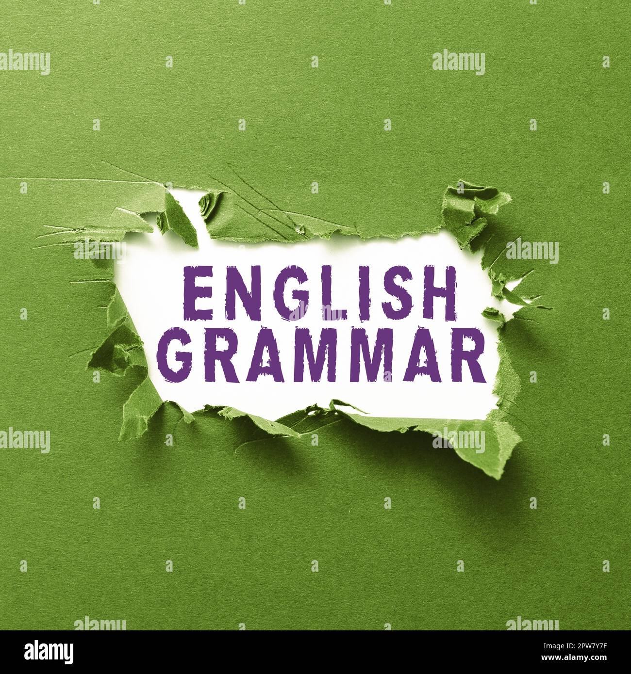 Didascalia di testo che presenta inglese grammatica, Business Approach corsi coprono tutti i livelli di parlare e scrivere in inglese Foto Stock