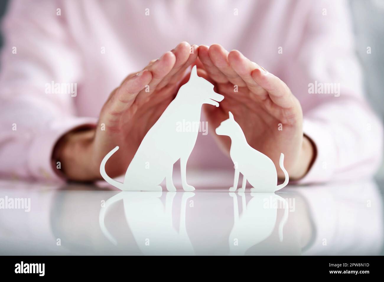 Assicurazione auto garanzia. Concetto di veicolo sicuro. Sicurezza giocattolo automatica Foto Stock