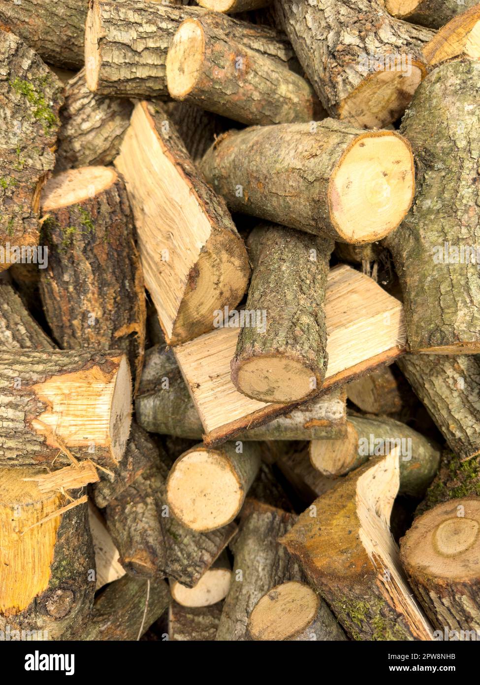 Tagliare pezzi di legno. Un mucchio grande di legna da ardere. Gli alberi sono stati tagliati e divisi in legna da ardere per essere usato come combustibile per il riscaldamento in caminetti e forni in Foto Stock