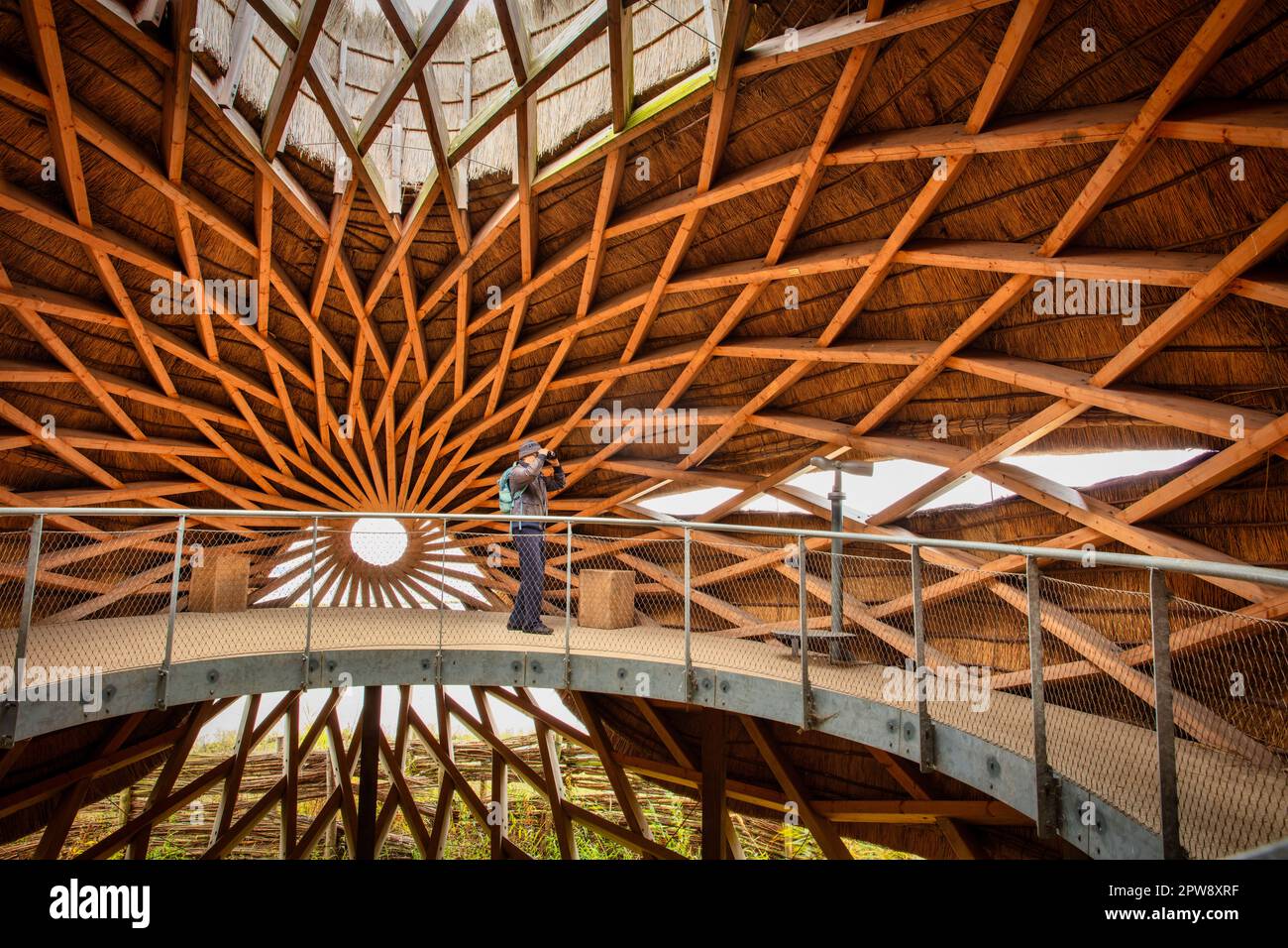 Paesi Bassi, Stellendam, osservatorio degli uccelli TIJ, santuario degli uccelli Scheelhoek. Interior.The Netherlands, Stellendam, osservatorio degli uccelli TIJ, sanctua degli uccelli Foto Stock