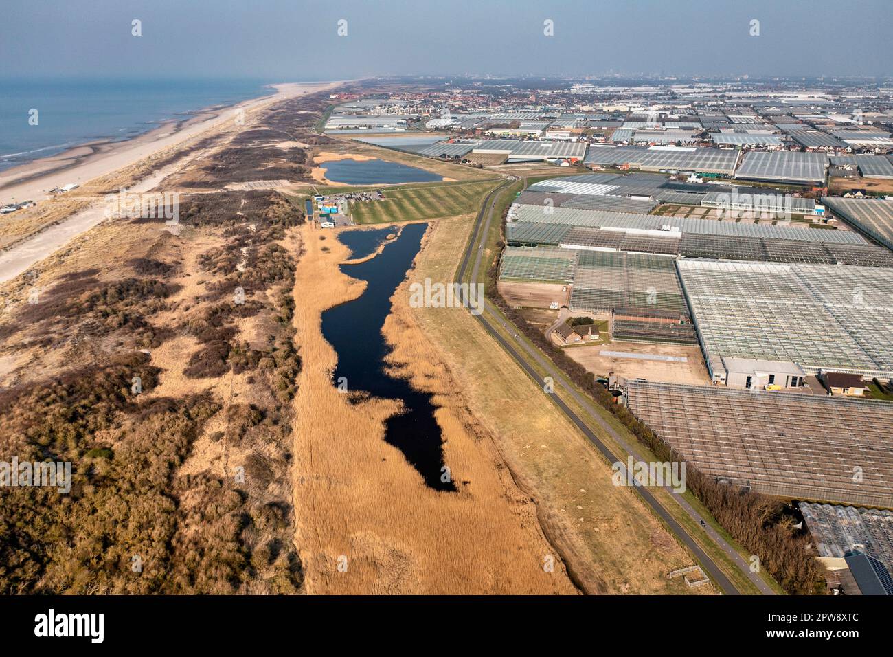 Paesi Bassi, Õs-Gravezande, regione Westland. Orticoltura in serre. Dune sulla costa del Mare del Nord. Vista aerea. Foto Stock
