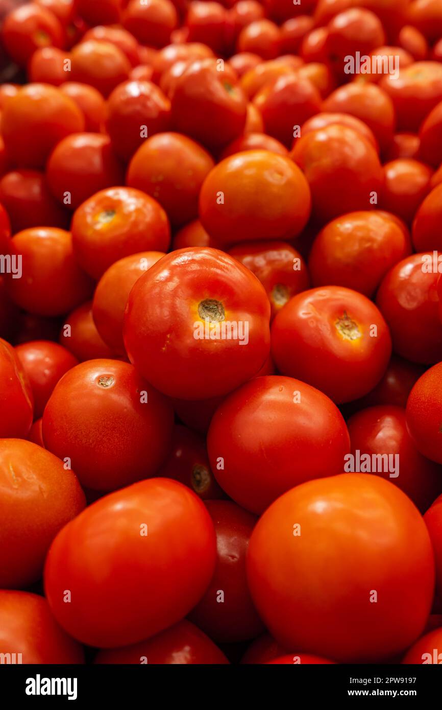 Mucchio grande di pomodori in un deposito Foto Stock